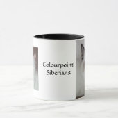 Mok SiberianCat (Midden)