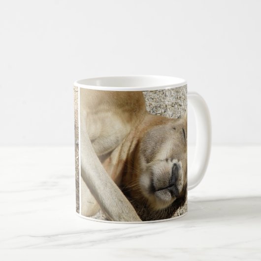 Mok slapende kangoeroe (Voorkant rechts)