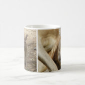 Mok slapende kangoeroe (Center)