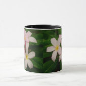 Mok Slaughter Pink Plumeria (Midden)