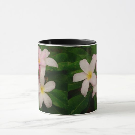 Mok Slaughter Pink Plumeria (Midden)