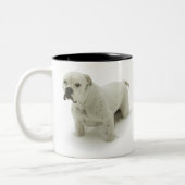 Mok sneeuwbull (Links)