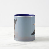 Mok sneeuwganzen (Midden)