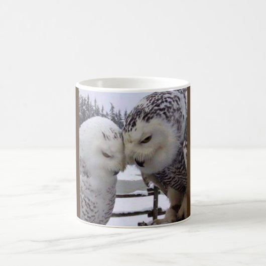 Mok Snewy Owls Tortelduifjes (Center)