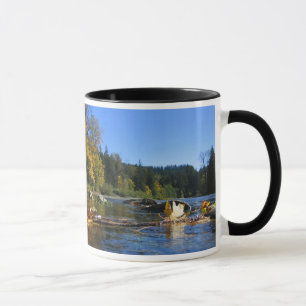 Mok Snoqualmie
