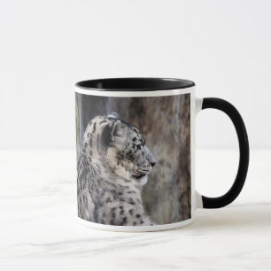 Mok Snow Leopard