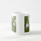 Mok Snowdruppels (Center)