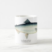 Mok SOCLEE/Red Salmon viskoffie (Center)