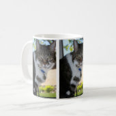 Mok Softy Tabby Cat (Voorkant links)