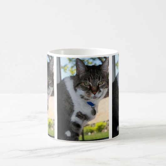 Mok Softy Tabby Cat (Center)