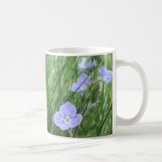 Mok Speedwell Flowers (Rechts)