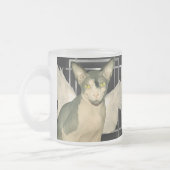 Mok | Sphynx Cat Ninja Angel (Links)