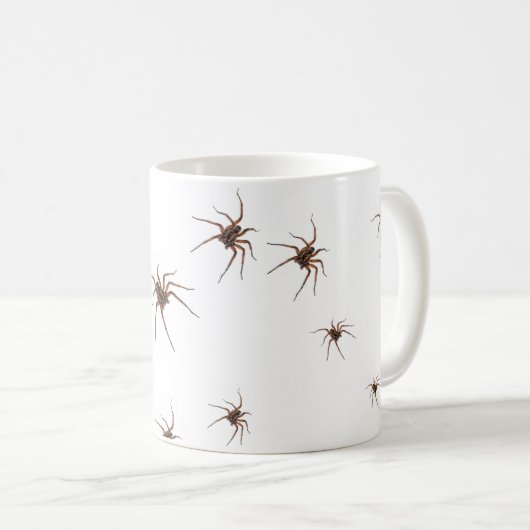 Mok spin (Voorkant rechts)