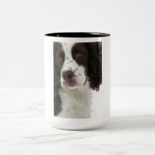 Mok Springer Spaniel