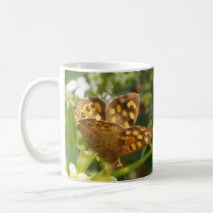 Mok Springtime-vlinder