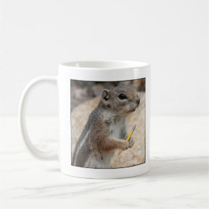 Mok Squirrel Writer