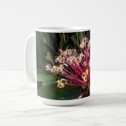 Mok Starburst Clerodendrum Flowers (Voorkant links)