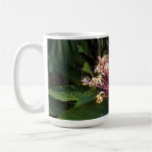 Mok Starburst Clerodendrum Flowers (Links)