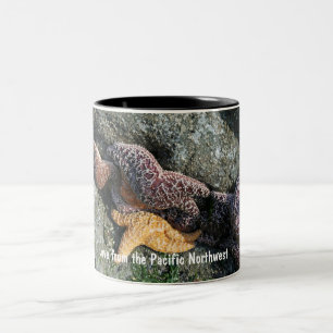 Mok:  Starfish Love van PNW Tweekleurige Koffiemok