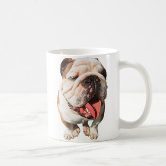 mok stierenhond