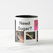 Mok suikerglider (Midden)