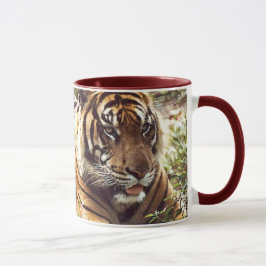 Mok Sumatran Tiger
