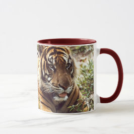 Mok Sumatran Tiger