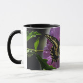 Mok - Swallowtail Butterfly on Flower (Links)