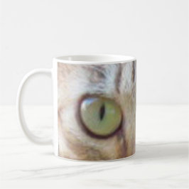Mok - Tabby Cat Eyes
