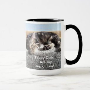 Mok Tabby kitten