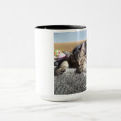 Mok Tabby kitten (Midden)
