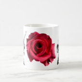 Mok Tango Coffee (Center)