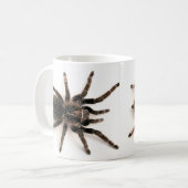Mok Tarantula Spider (Voorkant links)