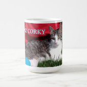 MOK TEAM Corky (Center)