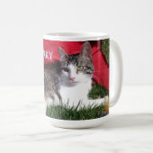 MOK TEAM Corky (Voorkant rechts)