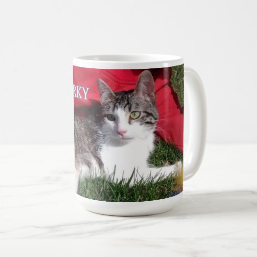 MOK TEAM Corky (Voorkant rechts)