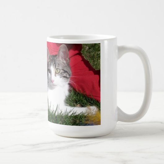 MOK TEAM Corky (Rechts)