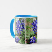 mok "Texas Blues" (Voorkant links)