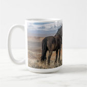 mok "The Black Stallion" (Links)