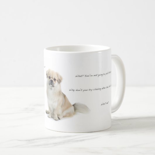 Mok Tibetaans-Spaniel (Voorkant rechts)