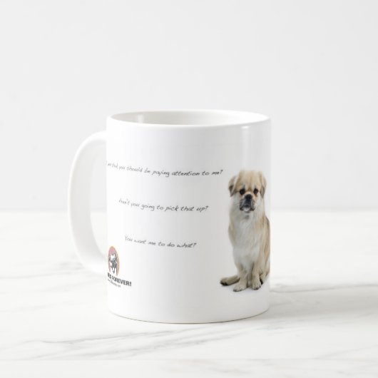 Mok Tibetaans-Spaniel (Voorkant links)