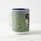 Mok Tibetaanse Terrier (Voorkant links)