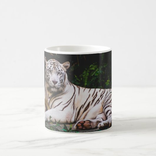 Mok Tiger Coffee (Center)