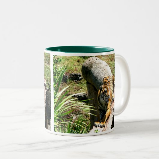 Mok Tiger Coffee (Voorkant rechts)