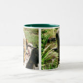 Mok Tiger Coffee (Center)