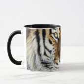 Mok Tiger Coffee (Links)