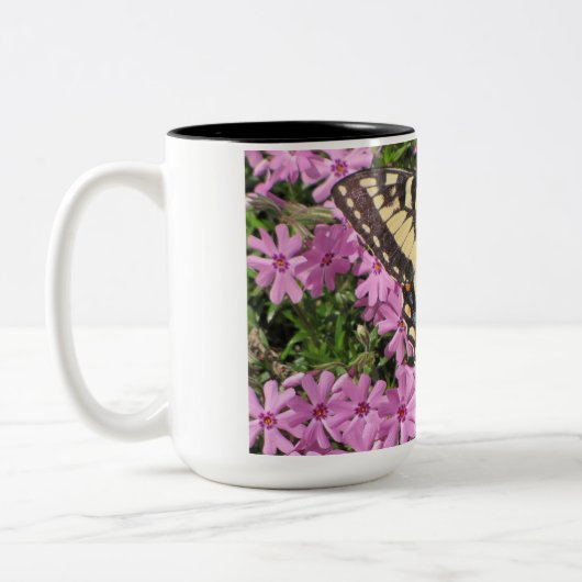 Mok tijger Swallowtail Butterfly (Links)