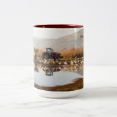 Mok trekvogels (Center)