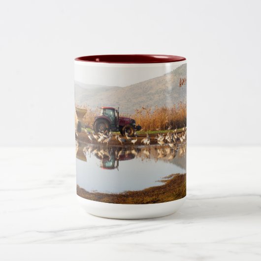 Mok trekvogels (Center)