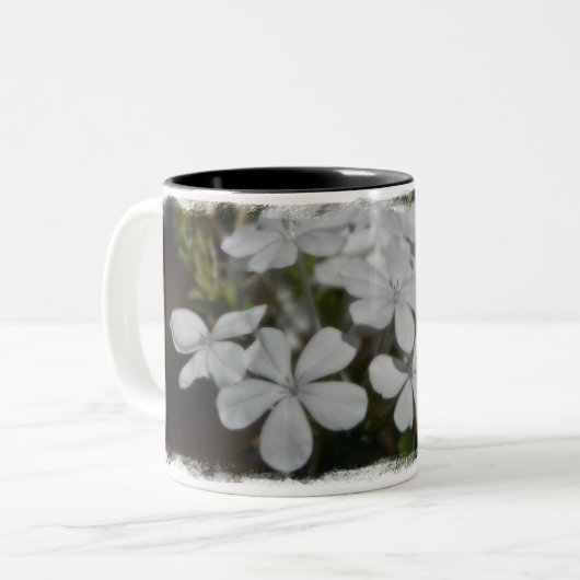 Mok tuin (Voorkant links)